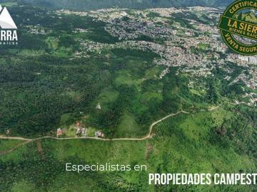 Se vende enorme Terreno en las afueras de Huauchinango