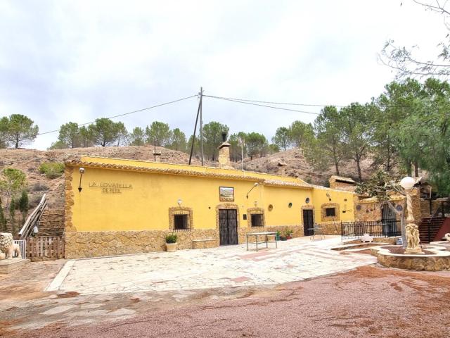 SE VENDE ESPECTACULAR CASA CUEVA TOTALMENTE EQUIDAPA EN PINOSO ALICANTE