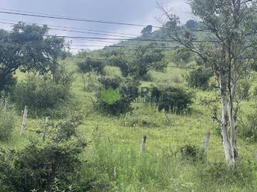 SE VENDE EXTENSO TERRENO SOBRE CARRETERA MIL CUMBRES, Jaripeo