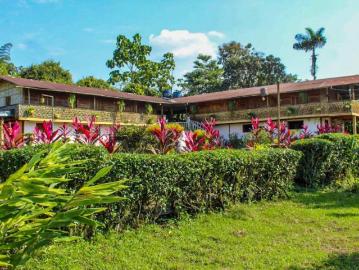 SE VENDE FINCA 52 HECTAREAS BABAHOYO Finca en Venta en Babahoyo