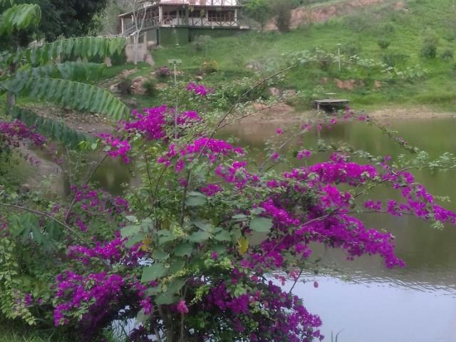 Se vende Finca 114 Hectáreas. Bejuma