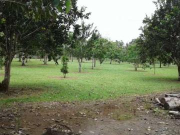 Se Vende Finca Turistica Y Productiva De Oportunida