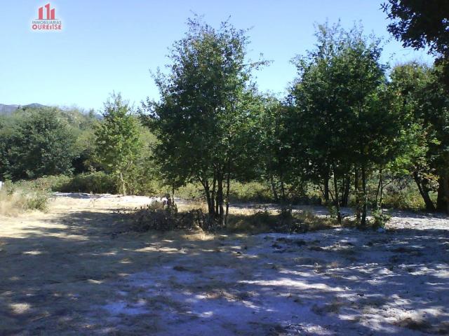 SE VENDE FINCA URBANIZABLE EN SAN MIGUEL DO CAMPO