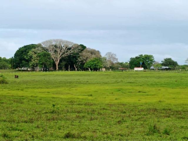 SE VENDE FINCA VA AL SUR DE MONAGAS VE01 0006VS AGIM