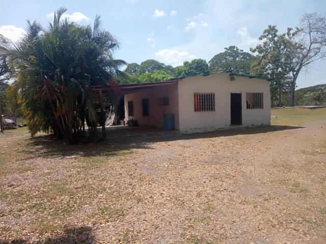 SE VENDE FINCA VE21 341MP NDUN