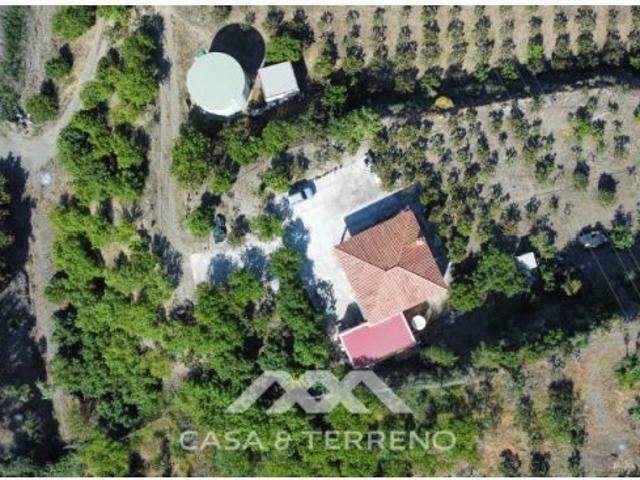 Se vende: Finca, Vélez Málaga, Andalucía
