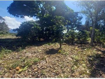 Se vende finca cafetera en Alto Boquete, Chiriquí