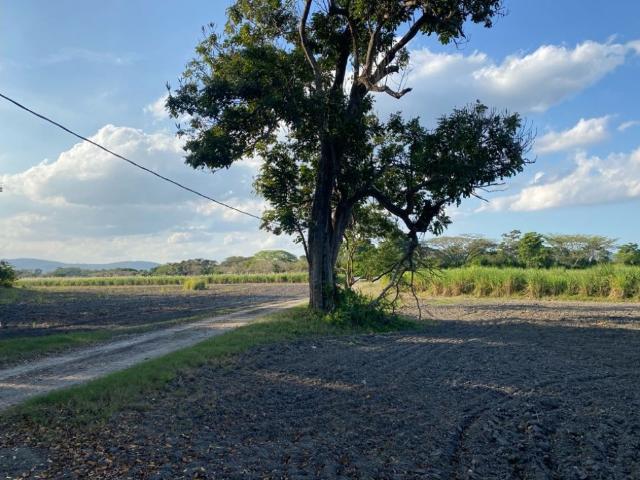 FINCA EN VENTA CARRETERA VIEJA YARITAGUA