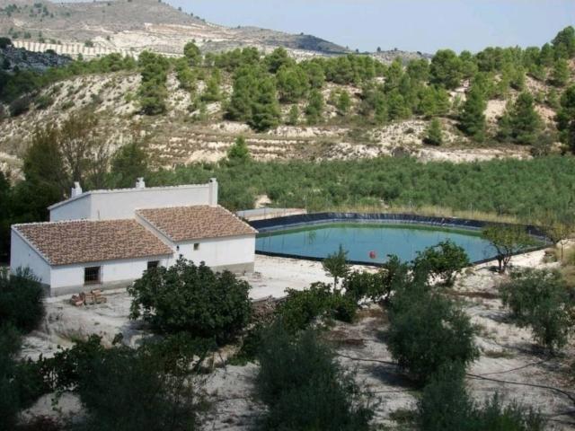 SE VENDE FINCA DE REGADIO CON VIVIENDA
