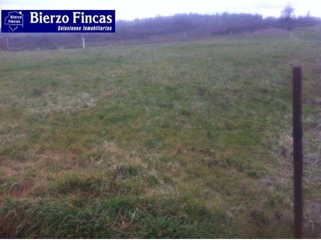 Se vende finca de secano en cortiguera