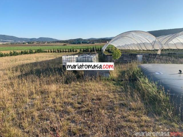 Se vende finca dedicada al cultivo de fresas y tomates al lado del pueblo de Mendoza