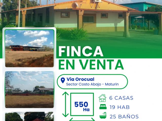 SE VENDE FINCA EN VIA A OROCUAL VE01 0027CA VSAL