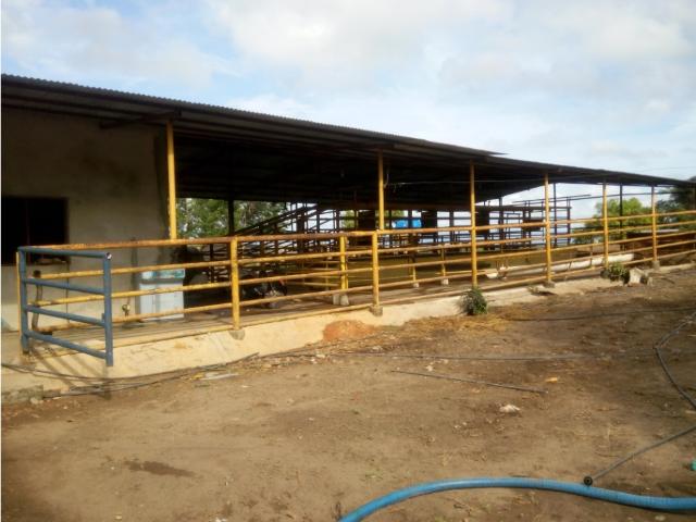 SE VENDE FINCA EN CAICARA DE MATURIN SEC BAJO GDE VE02 1143CAI MTRU