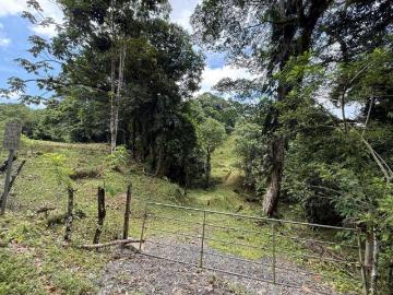Se Vende Finca en Coclesito, La Pintada, Penonomé