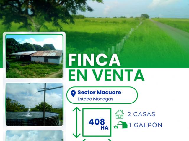 SE VENDE FINCA EN EL SECTOR MACURE, EDO MONAGAS VE01 0024EM VSAL