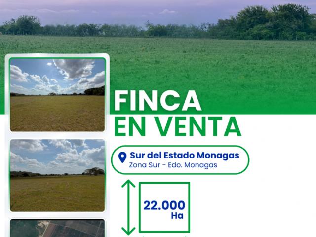 SE VENDE FINCA EN EL SUR DE MONAGAS VE01 0288ZS MFAR/SPEC