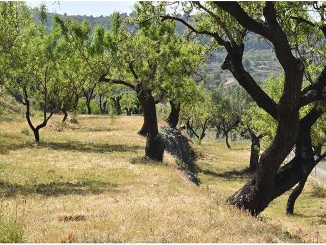 SE VENDE FINCA RÚSTICA CON CASA DE APEROS