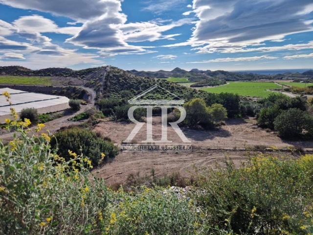 Se vende finca rústica de 12.000 m2