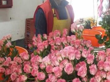 Se Vende Floricola En Produccion en Tabacundo