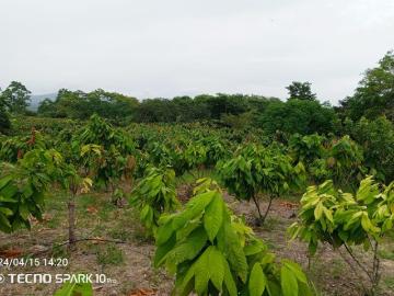 Se Vende Granja Cerca del Mar y en Zona Rural en Puerto Cayo