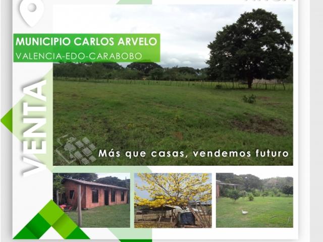 SE VENDE GRANJA EN EL ESTADO CARABOBO VE02 1321CARAB MTRU