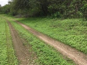 Se Vende Granja en Zona Rural en Colonche