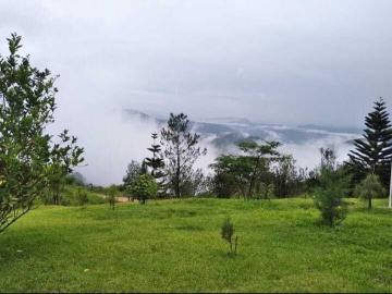 Se vende hermoso rancho llamado la “ponderosa”, 100% ganadero, con mucha agua