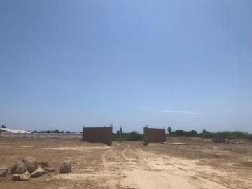 Se Vende Lindo Terreno Rural En Grocio Prado Sector Pampa De Ñoco Chincha