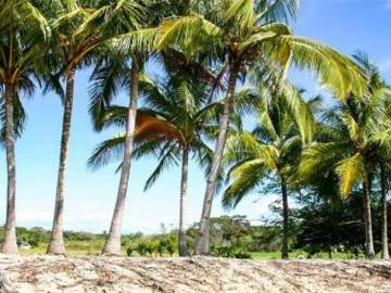 Se Vende Lote de Metros Frente al Mar en Rincon Beach Estate