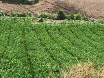 SE VENDE LOTE DE TRES HECTÁREAS CON VISTAS IMPRESIONANTES