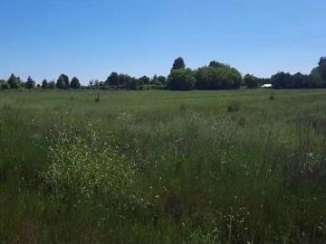 SE VENDE LOTE DE 5.000 LOTEO CAMINO A PANIMAVIDA