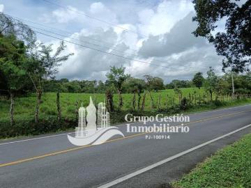 Se vende lote en Bongo #1