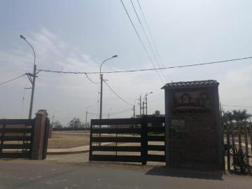 SE VENDE LOTES EN CONDOMINIO LA PLANICIE DE SAN BENITO CAÑETE