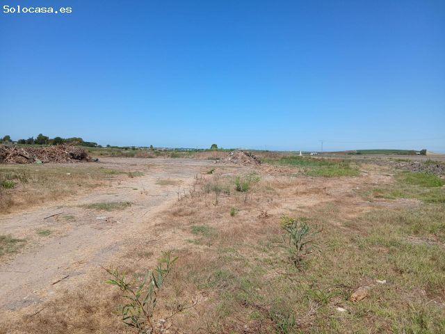 Se vende magnífica parcela de uso agrario con una superficie total de 26.047 m2, ideal para profesio