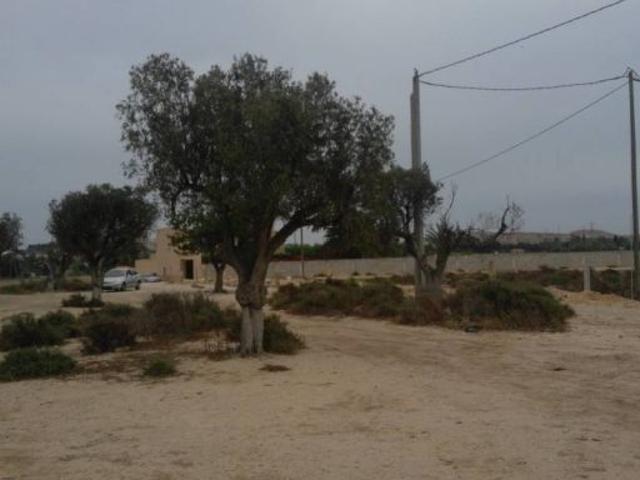 SE VENDE O ALQUILA TERRENO CON CASA PARA REFORMAR, 25.000 MTS DE TERRENO, PRECIO ALGO NEGOCIABLE