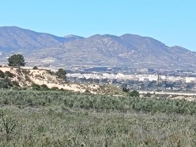 SE VENDE PARCELA / MONFORTE DEL CID / RUSTICA