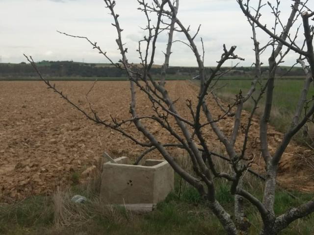 SE VENDE PARCELA AGRICOLA DE REGADIO