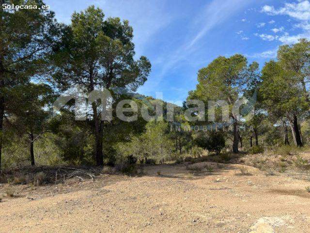 SE VENDE PARCELA DE MAS DE 26.000M2 EN FINESTRAT