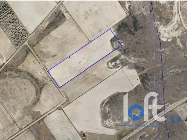 Se vende parcela de cultivo en Pueblica de Campeán