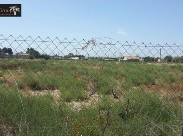 SE VENDE PARCELA DE 17.000 M2 EN PARTIDA MATOLA