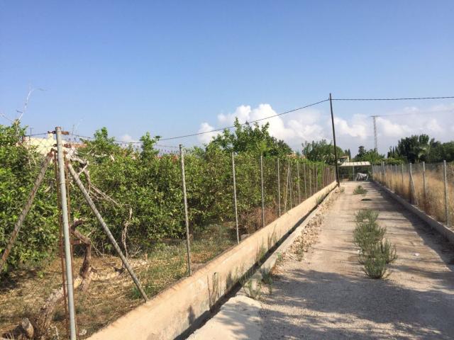 SE VENDE PARCELA DE 3000 m2 EDIFICABLE EN CAMINO SALOBOSQUE