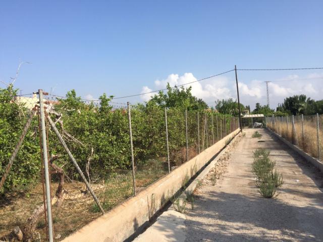 SE VENDE PARCELA DE 3000 m2 EDIFICABLE EN CAMINO SALOBOSQUE