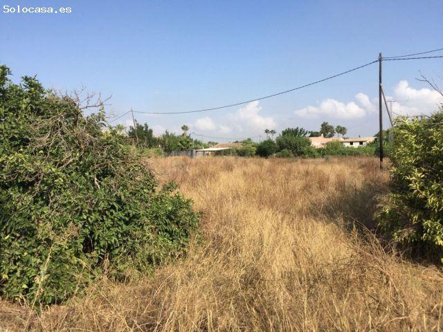 SE VENDE PARCELA DE 3000 m2 EDIFICABLE EN CAMINO SALOBOSQUE