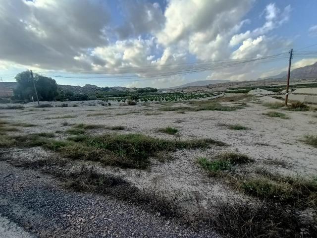 SE VENDE PARCELA EN MOLINA DE SEGURA