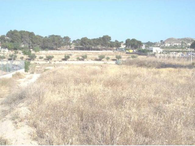 SE VENDE PARCELA EN ASPE