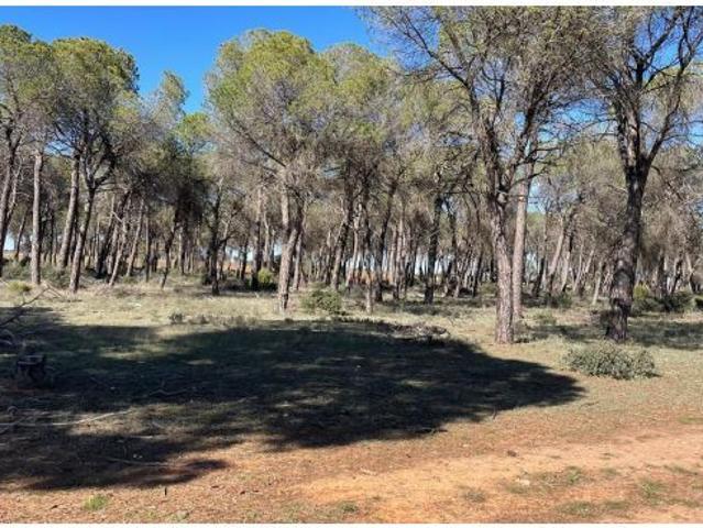 Se vende parcela en Casas Ibáñez