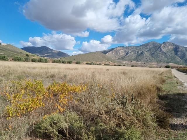 SE VENDE PARCELA EN CAÑADA DE LA LEÑA ALGUEÑA ALICANTE