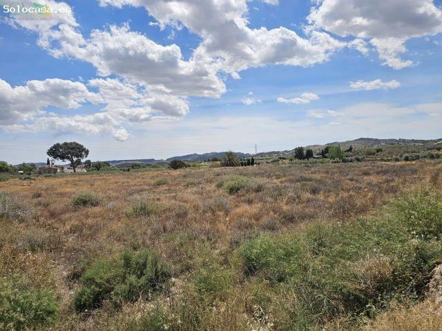 SE VENDE PARCELA EN EL ALJAU ASPE ALICANTE