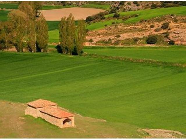 Se vende parcela en la Montaña con Casa semireformada