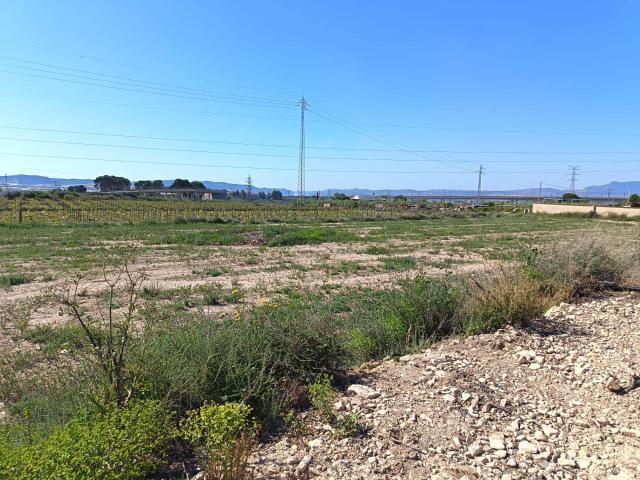 SE VENDE PARCELA / RUSTICA / AGUA Y LUZ A PIE DE PARCELA / MONFORTE DEL CID